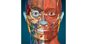 AnatomyLearning.com