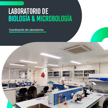 Laboratorio de Biología-Microbiología