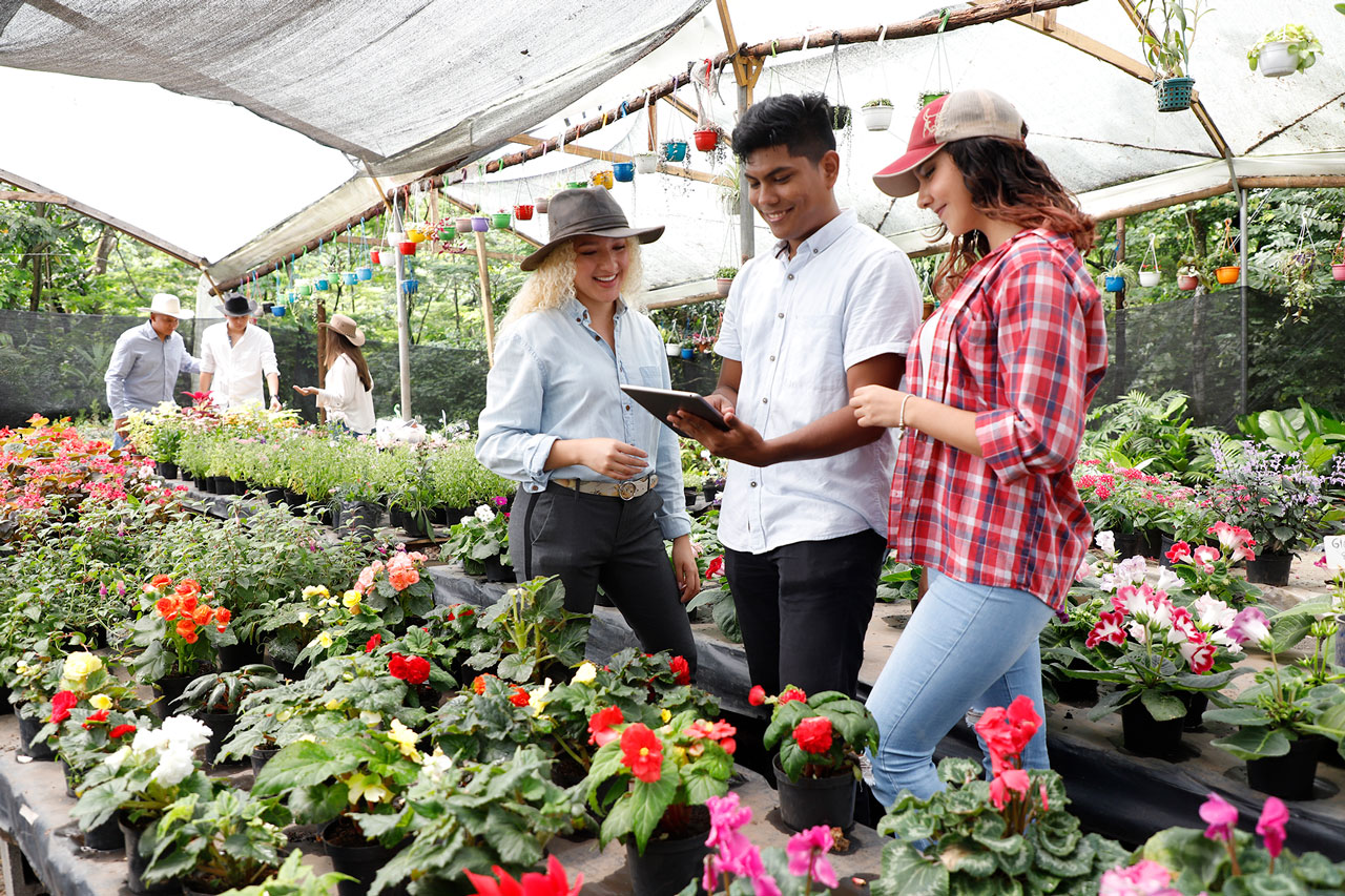 Administración de Empresas Agropecuarias