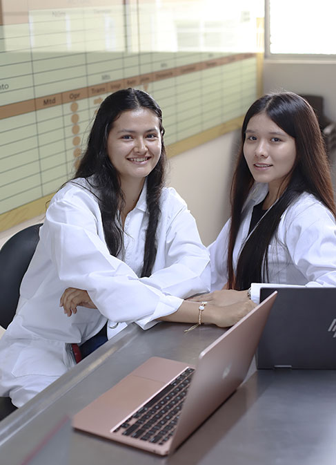 Campo Ocupacional Ingeniería Industrial Santoto Villavicencio